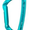 Edelrid Pure Straight II Climbing Carabiner -Climbing Wear Store EdelridPureStraightIICarabiner icemint 638609